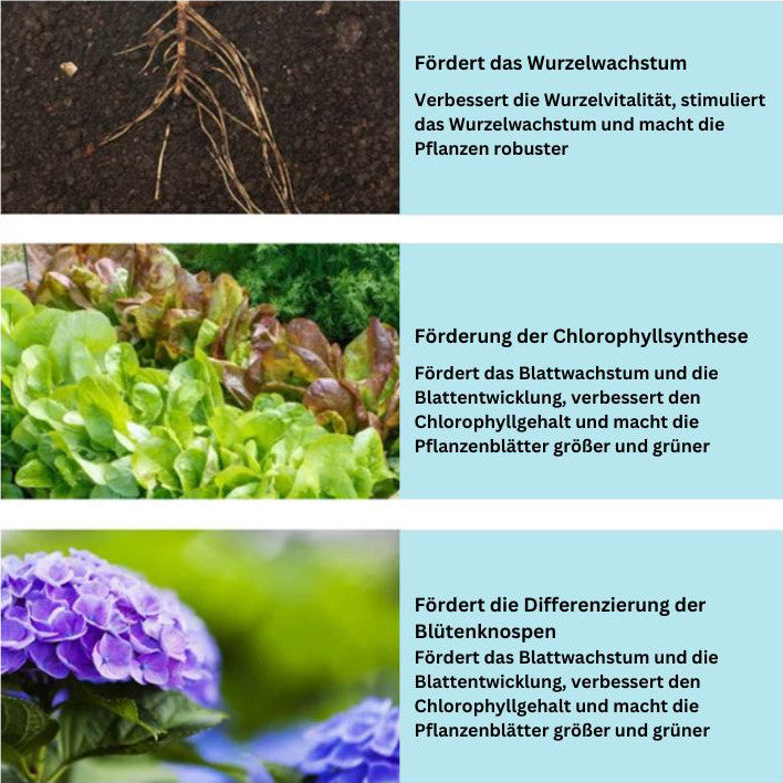 GardenGlowPro™ Organische Langzeitdünger-Tabletten