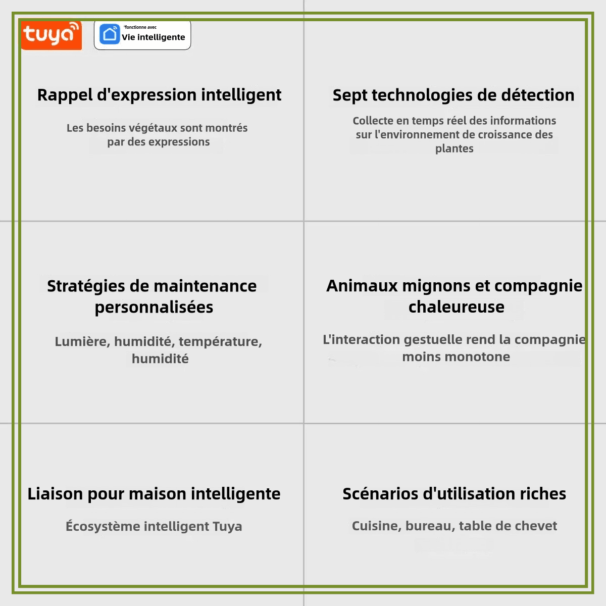 Ivy® | Der smarte Assistent für gesunde und lebendige Pflanzen