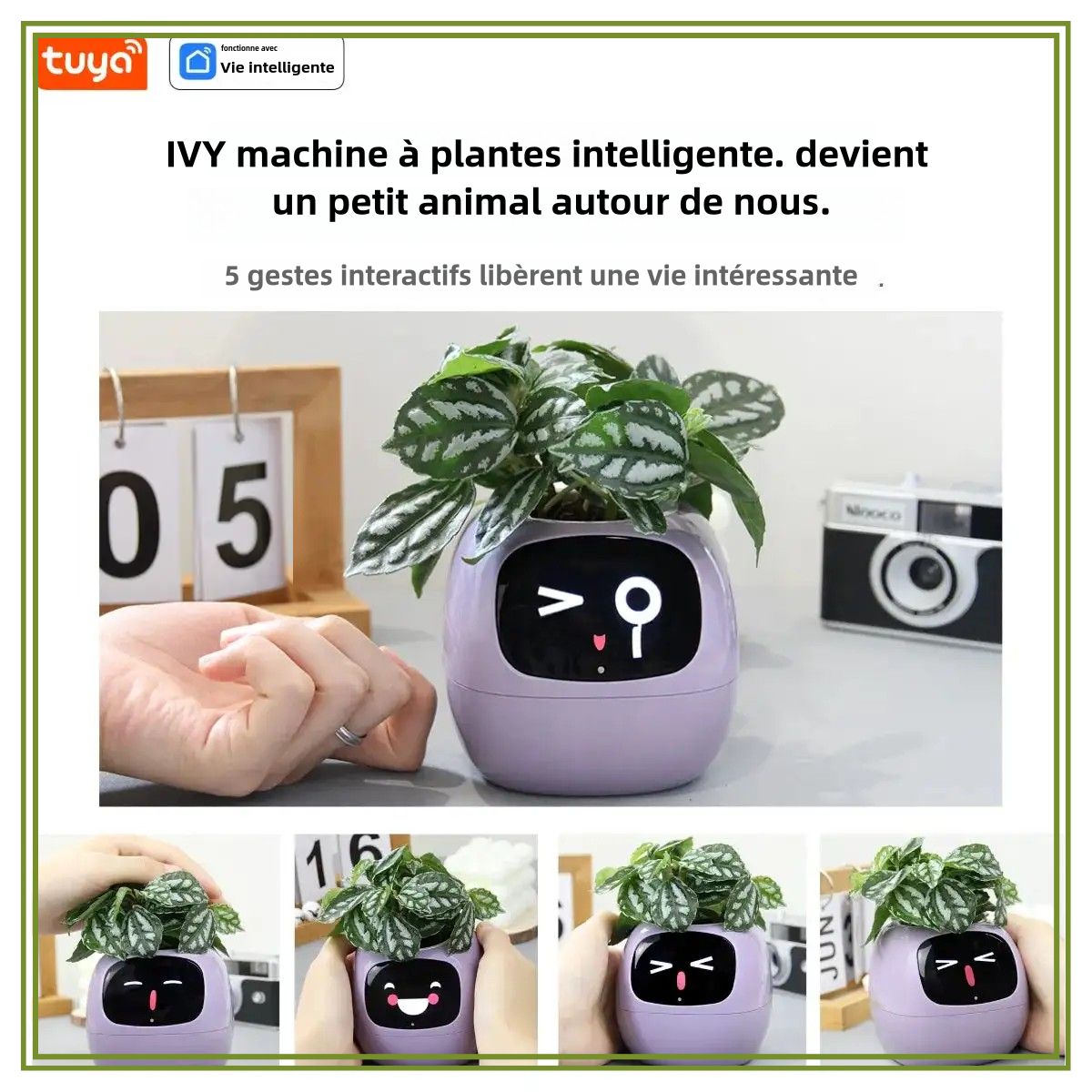 Ivy® | Der smarte Assistent für gesunde und lebendige Pflanzen