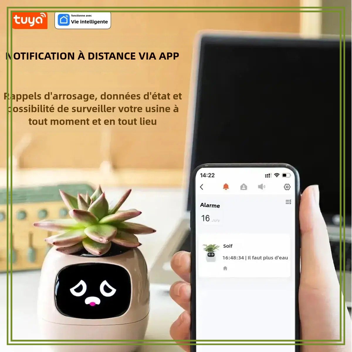 Ivy® | Der smarte Assistent für gesunde und lebendige Pflanzen