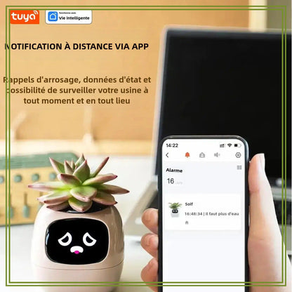 Ivy® | Der smarte Assistent für gesunde und lebendige Pflanzen