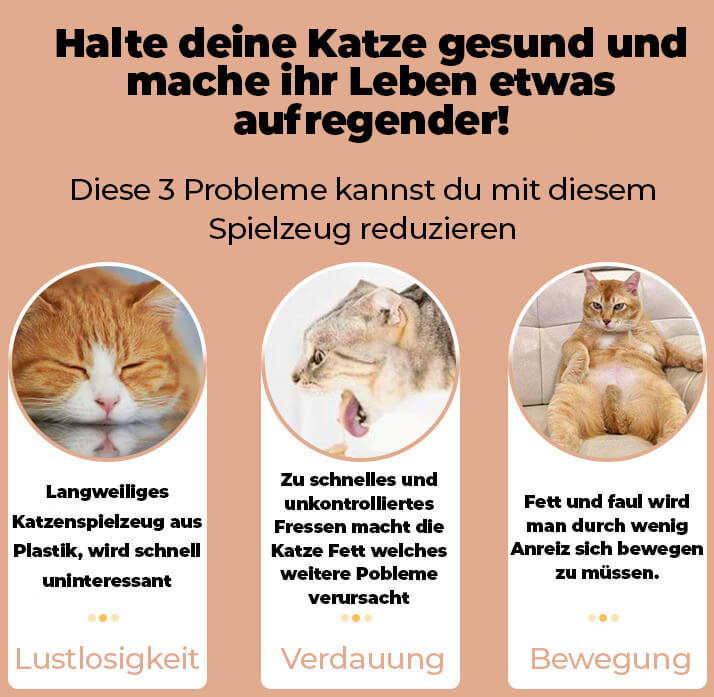 SNAKY™ - Aktive Freude für Ihre Katze