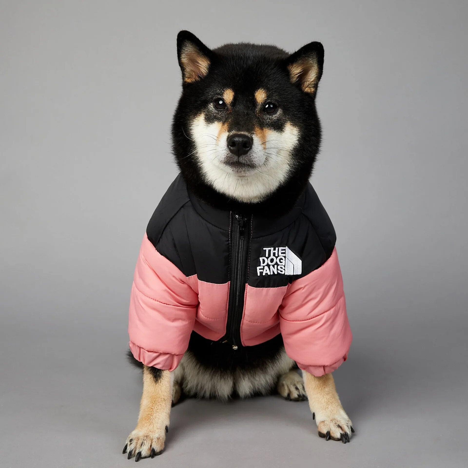 DogStyle™ Winterjacke für Hunde – Wärmt und schützt deinen Liebling in der kalten Jahreszeit