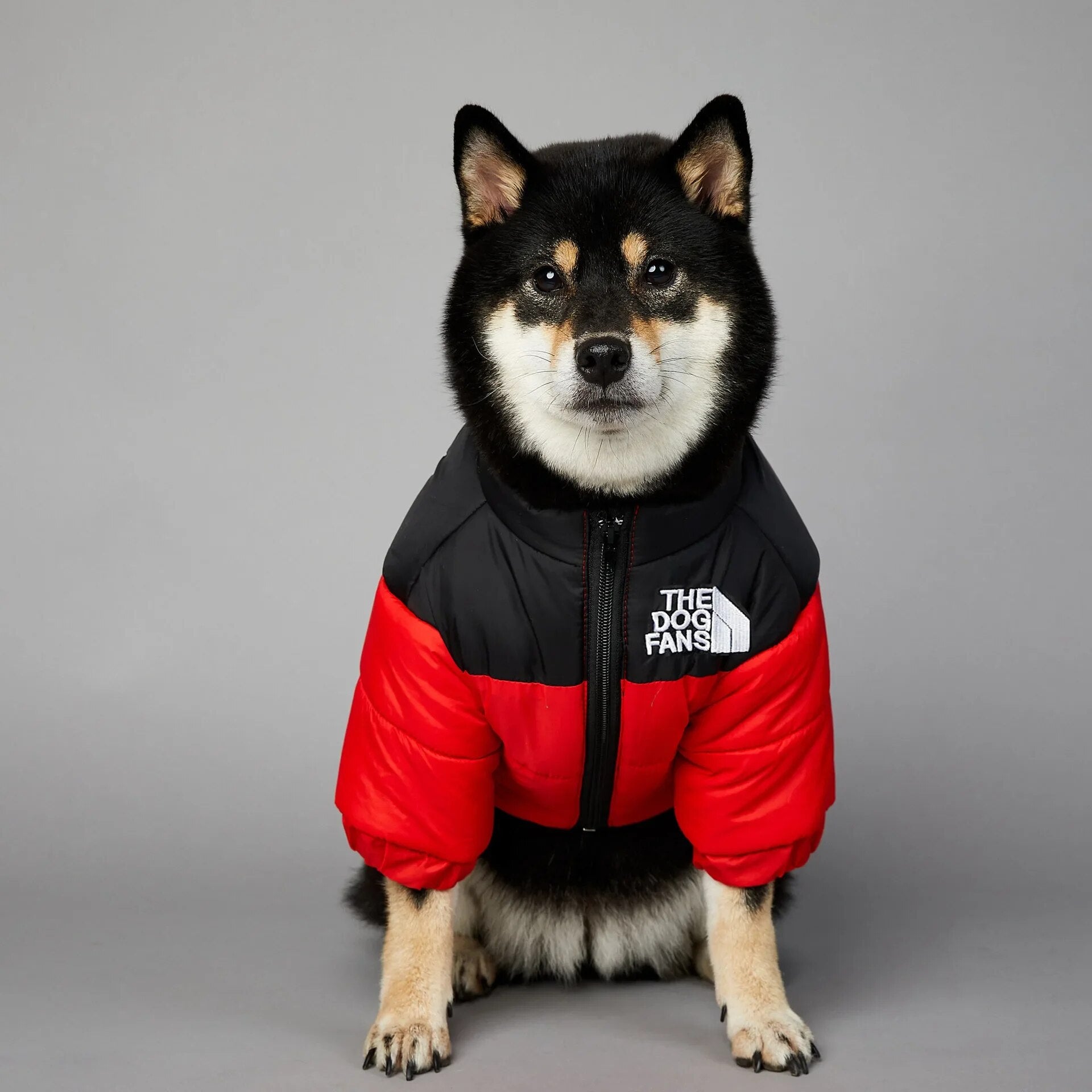 DogStyle™ Winterjacke für Hunde – Wärmt und schützt deinen Liebling in der kalten Jahreszeit