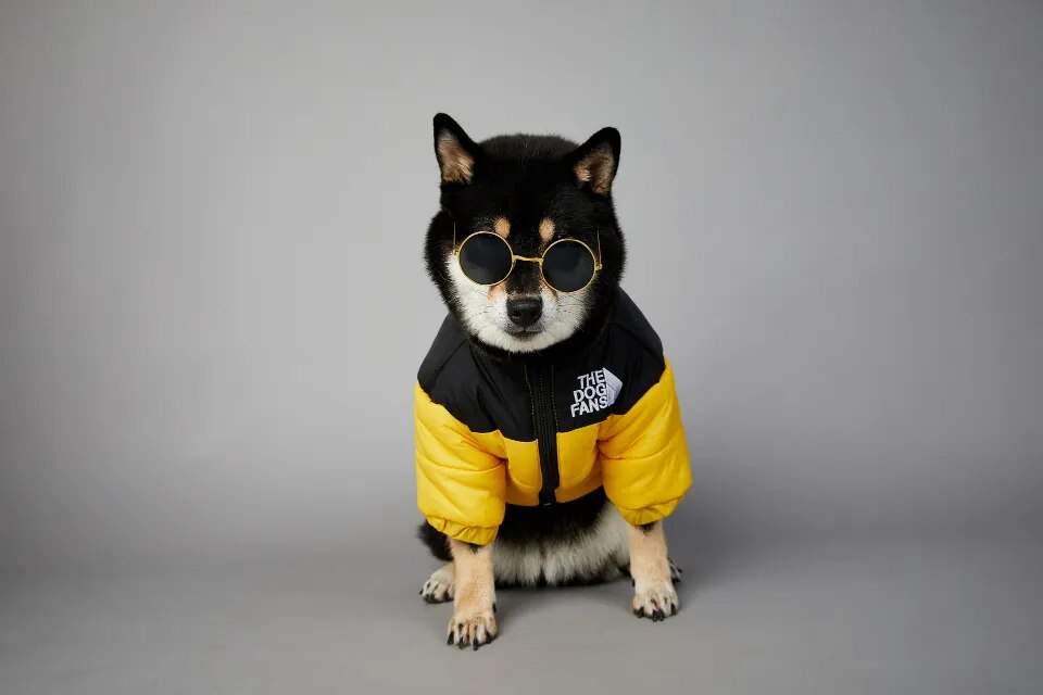 DogStyle™ Winterjacke für Hunde – Wärmt und schützt deinen Liebling in der kalten Jahreszeit