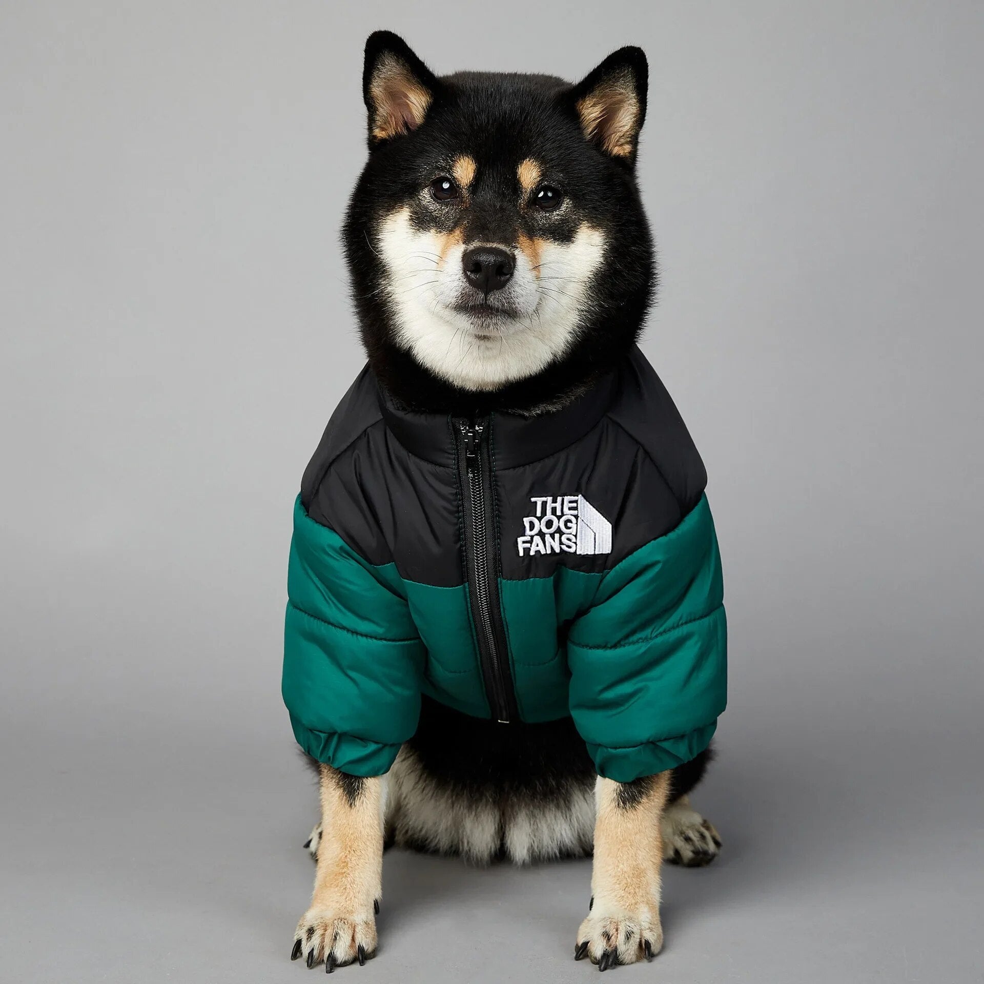 DogStyle™ Winterjacke für Hunde – Wärmt und schützt deinen Liebling in der kalten Jahreszeit