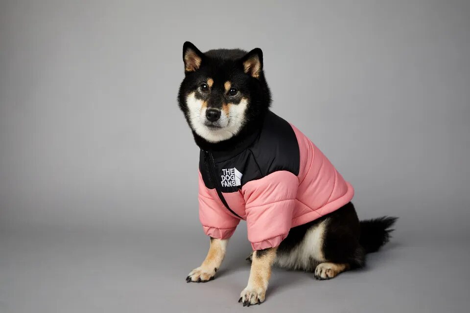 DogStyle™ Winterjacke für Hunde – Wärmt und schützt deinen Liebling in der kalten Jahreszeit