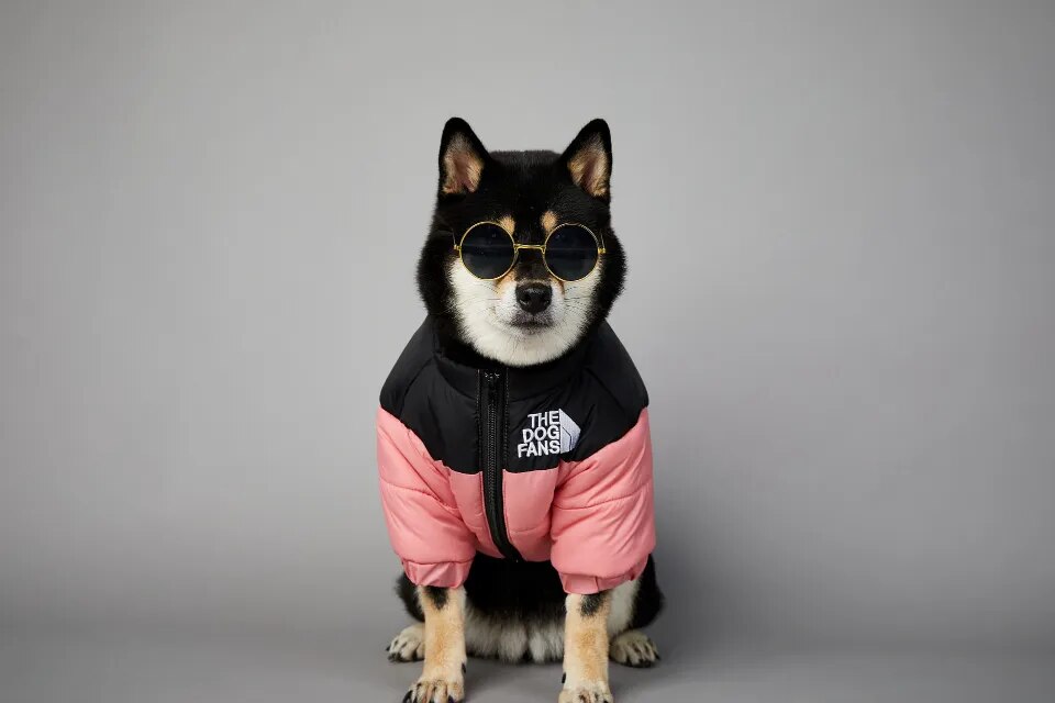 DogStyle™ Winterjacke für Hunde – Wärmt und schützt deinen Liebling in der kalten Jahreszeit