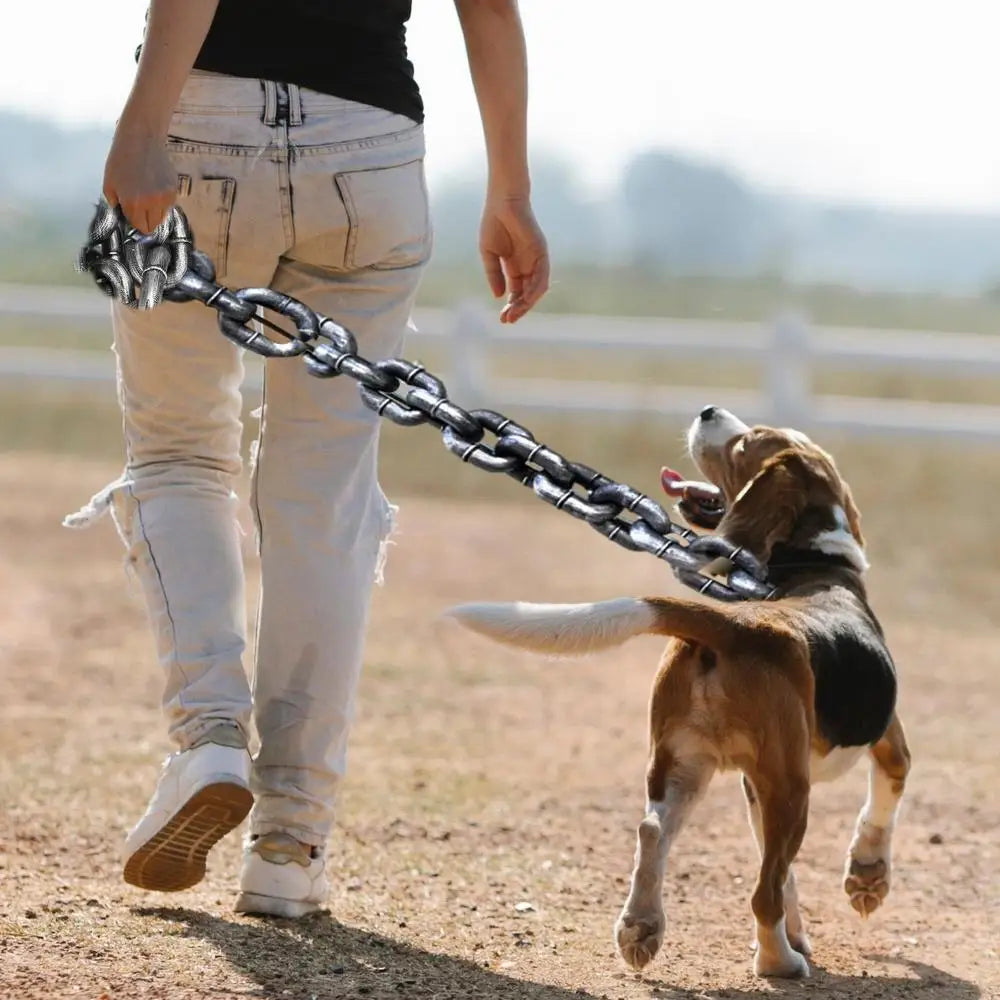 DogJoy™ Humorleine - Für glückliche Hunde und lächelnde Besitzer