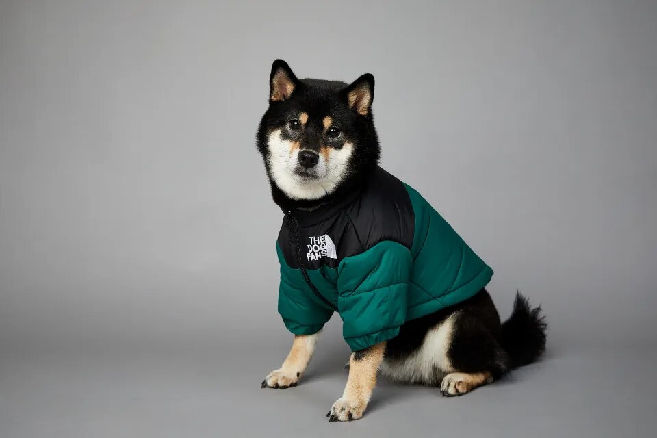 DogStyle™ Winterjacke für Hunde – Wärmt und schützt deinen Liebling in der kalten Jahreszeit