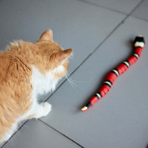 SnakeToy™ – Ihr neuer, interaktiver Spielkamerad für die Katze