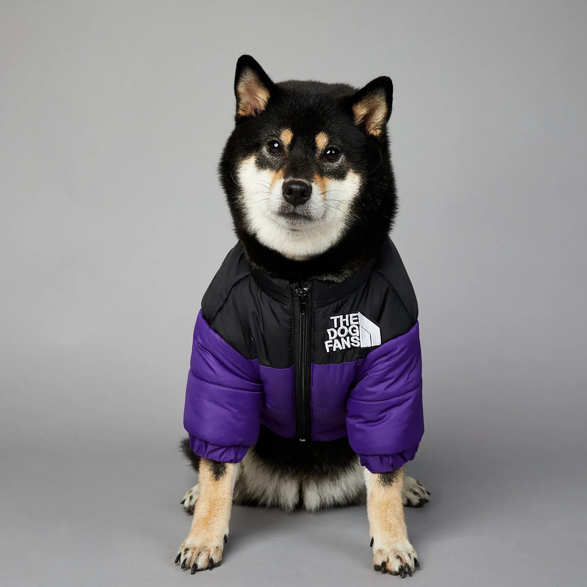 DogStyle™ Winterjacke für Hunde – Wärmt und schützt deinen Liebling in der kalten Jahreszeit