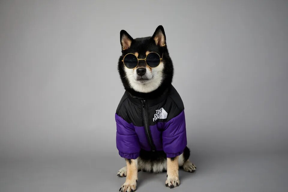 DogStyle™ Winterjacke für Hunde – Wärmt und schützt deinen Liebling in der kalten Jahreszeit