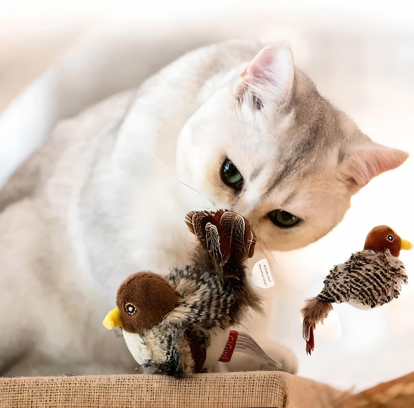CatPlay™ Intelligenzspielzeug für glückliche Katzen