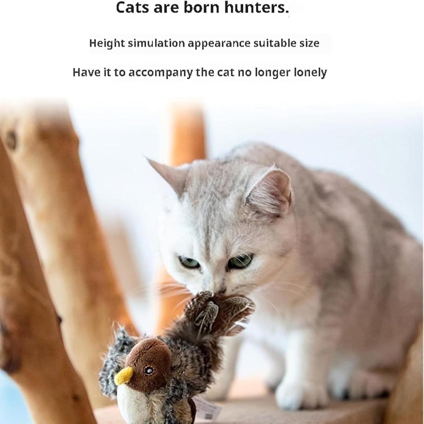 CatPlay™ Intelligenzspielzeug für glückliche Katzen